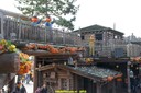 DSC02097.jpg