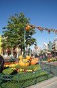 dsc01938.jpg