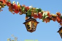 dsc01939.jpg