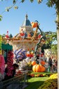 dsc01973.jpg