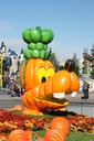 dsc02001.jpg