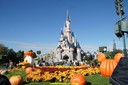 dsc02005.jpg