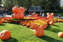 dsc02043.jpg