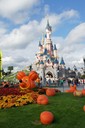 dsc02045.jpg