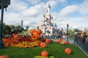 dsc02046.jpg