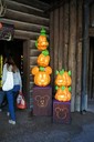 dsc02053.jpg