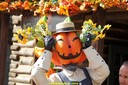 dsc02078.jpg