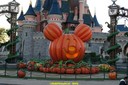 dsc02211.jpg