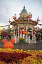 dsc02219.jpg