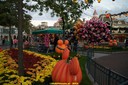 dsc02227.jpg