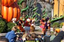 dsc02031.jpg