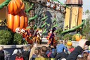 dsc02033.jpg