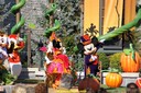 dsc02036.jpg