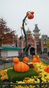 dsc08969.jpg