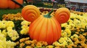dsc08971.jpg