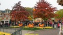 dsc08973.jpg