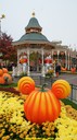 dsc08974.jpg