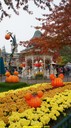 dsc08975.jpg