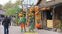 dsc09010.jpg