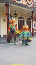 dsc09011.jpg