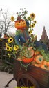 dsc09020.jpg