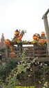 dsc09021.jpg
