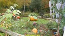 dsc09027.jpg
