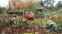 dsc09030.jpg