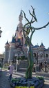 dsc09108.jpg