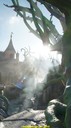 dsc09156.jpg