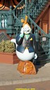 dsc09220.jpg
