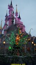 dsc09249.jpg