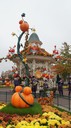 dsc00996.jpg