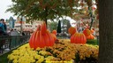 dsc01000.jpg