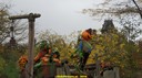 dsc01072.jpg
