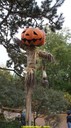 dsc01079.jpg