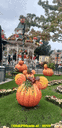 20191015_121835.gif