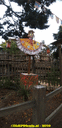 20191015_131414.gif