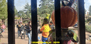 20191015_135857.gif