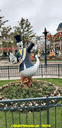 20191017_134635.gif