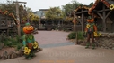 DSC06769.JPG