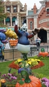 DSC06736.JPG