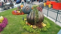 DSC06737.JPG