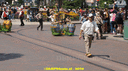 DSC04695.gif