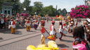 DSC04725.gif