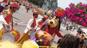 DSC04728.gif