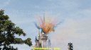 DSC04742.gif