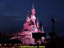 DSC01614.jpg