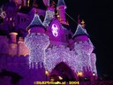 DSC01626.jpg