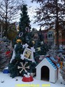 dsc01559.jpg